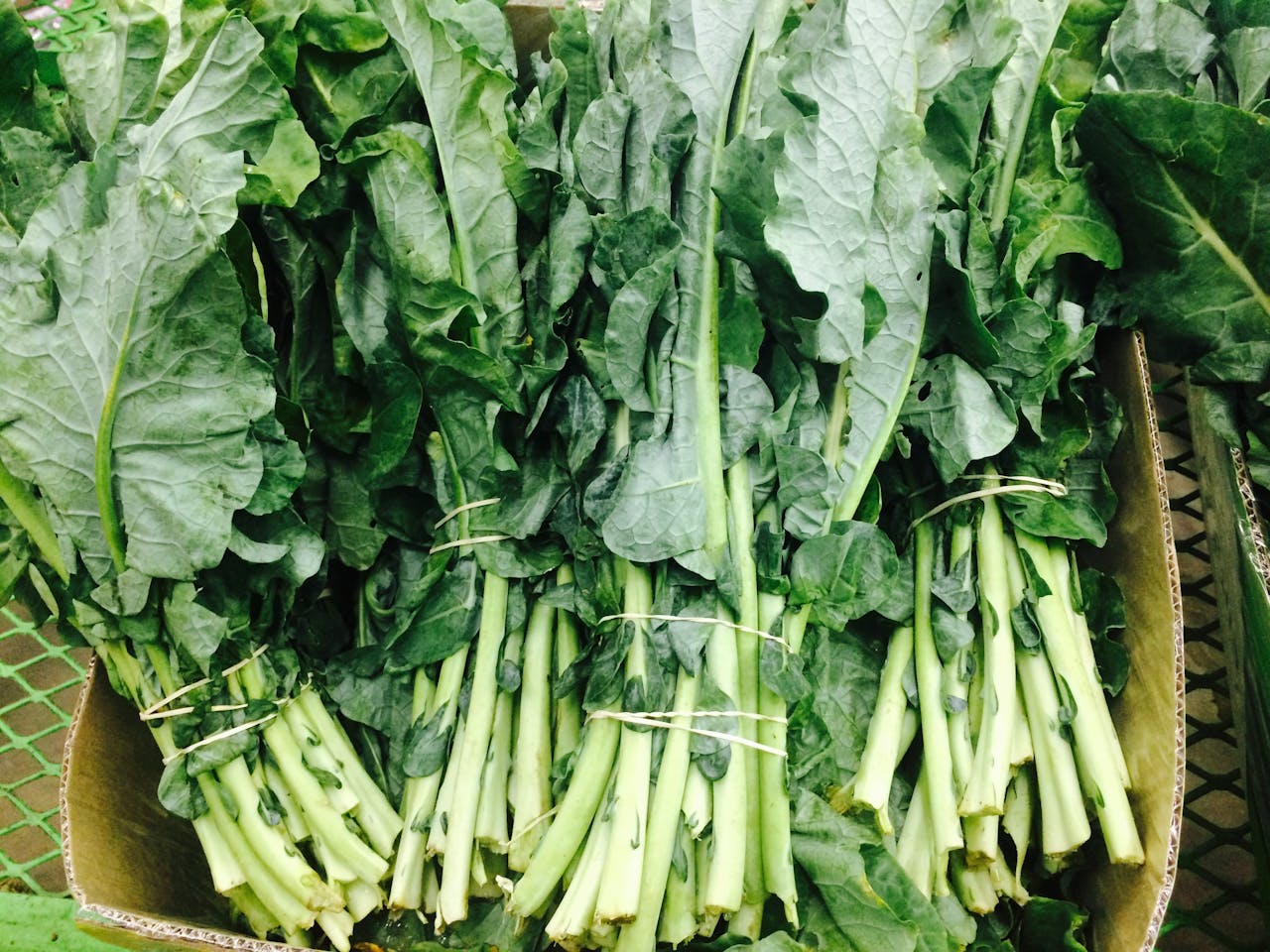 Vibrant fresh green leafy vegetables on display, showcasing organic produce.
