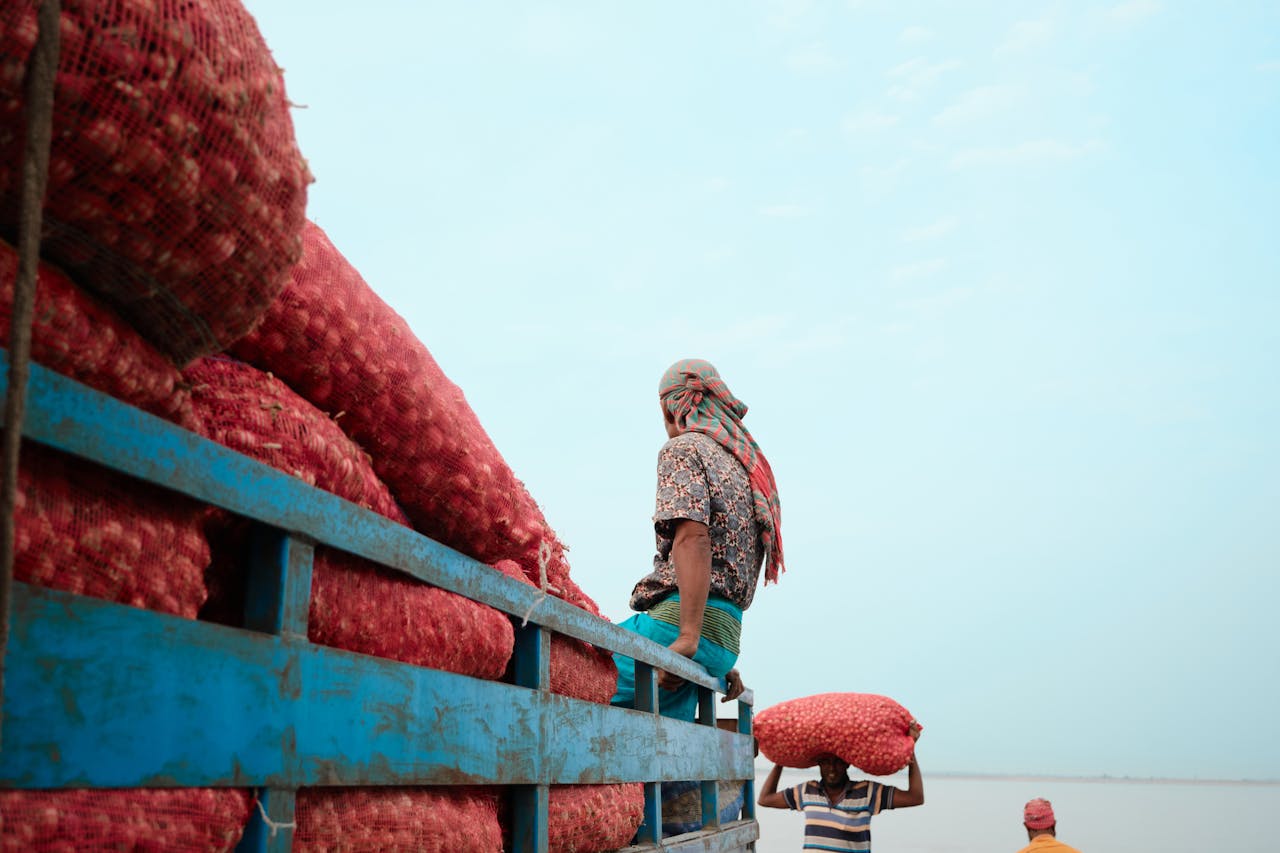 Men unloading onions from a truck at Chilmari dock, Bangladesh waterfront.